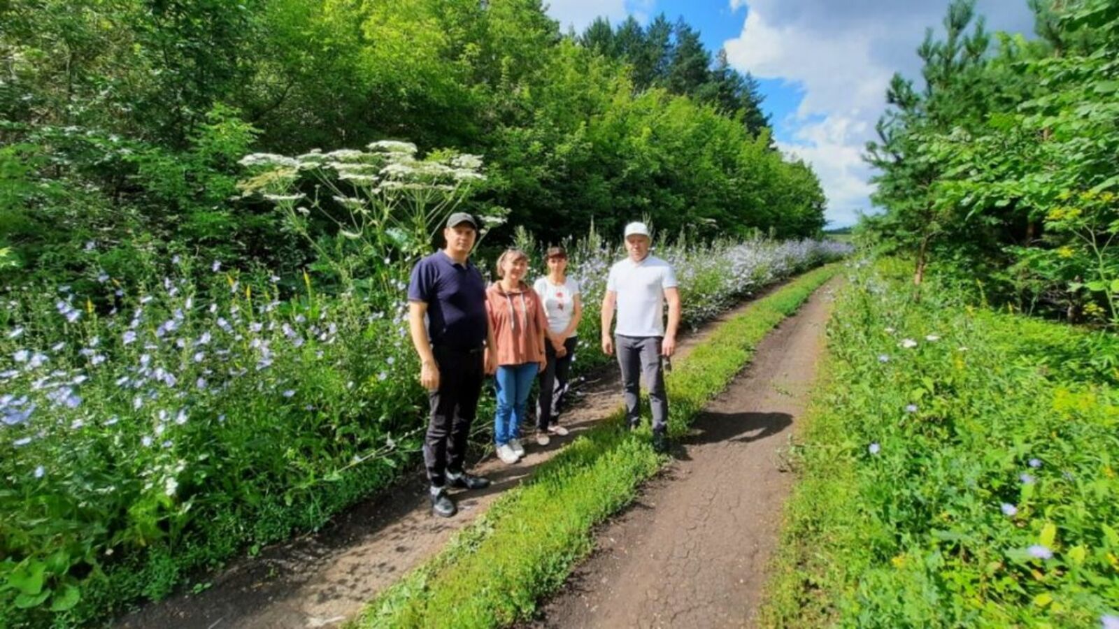 В Дуванском районе произрастает опасное растение