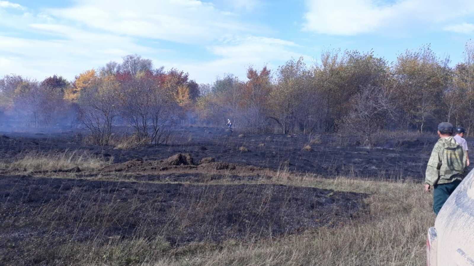 Сегодня близ Старохалилово горело пастбище
