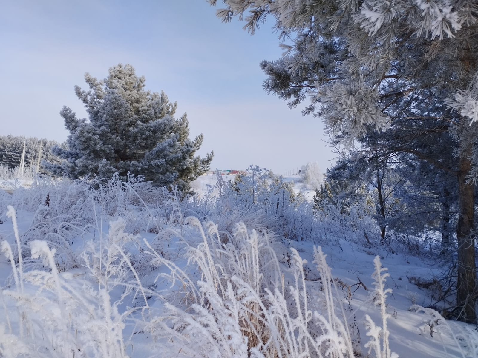 Когда в Башкирию придет настоящая зима?