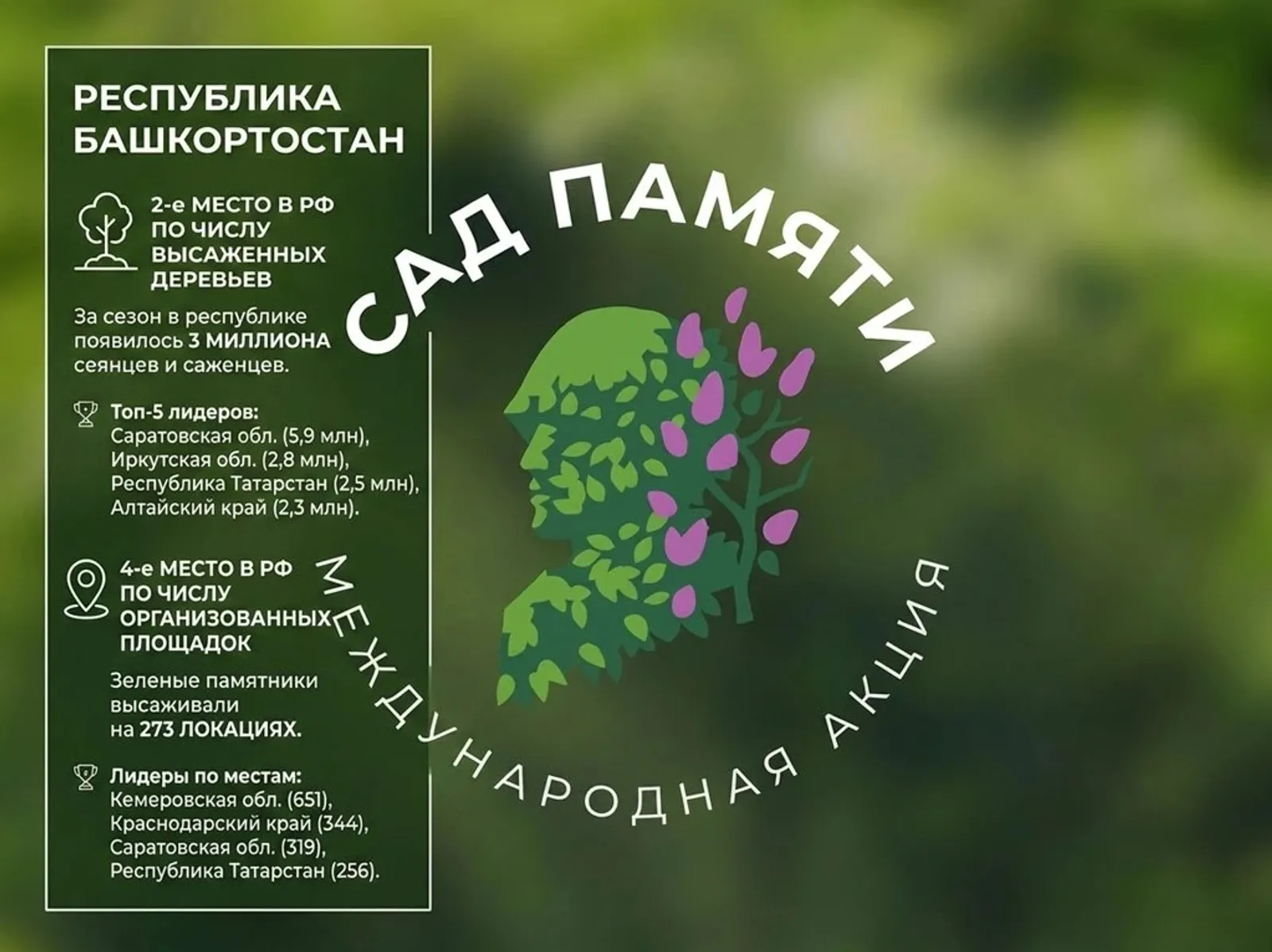 Башкортостан вновь в числе лидеров по итогам международной акции «Сад памяти»