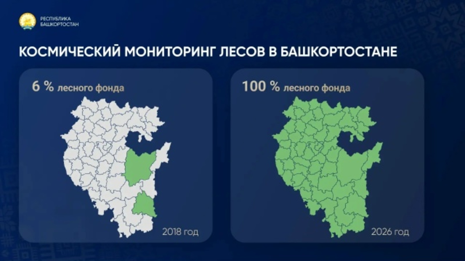 В Башкирии под космическим мониторингом находится 100 процентов леса