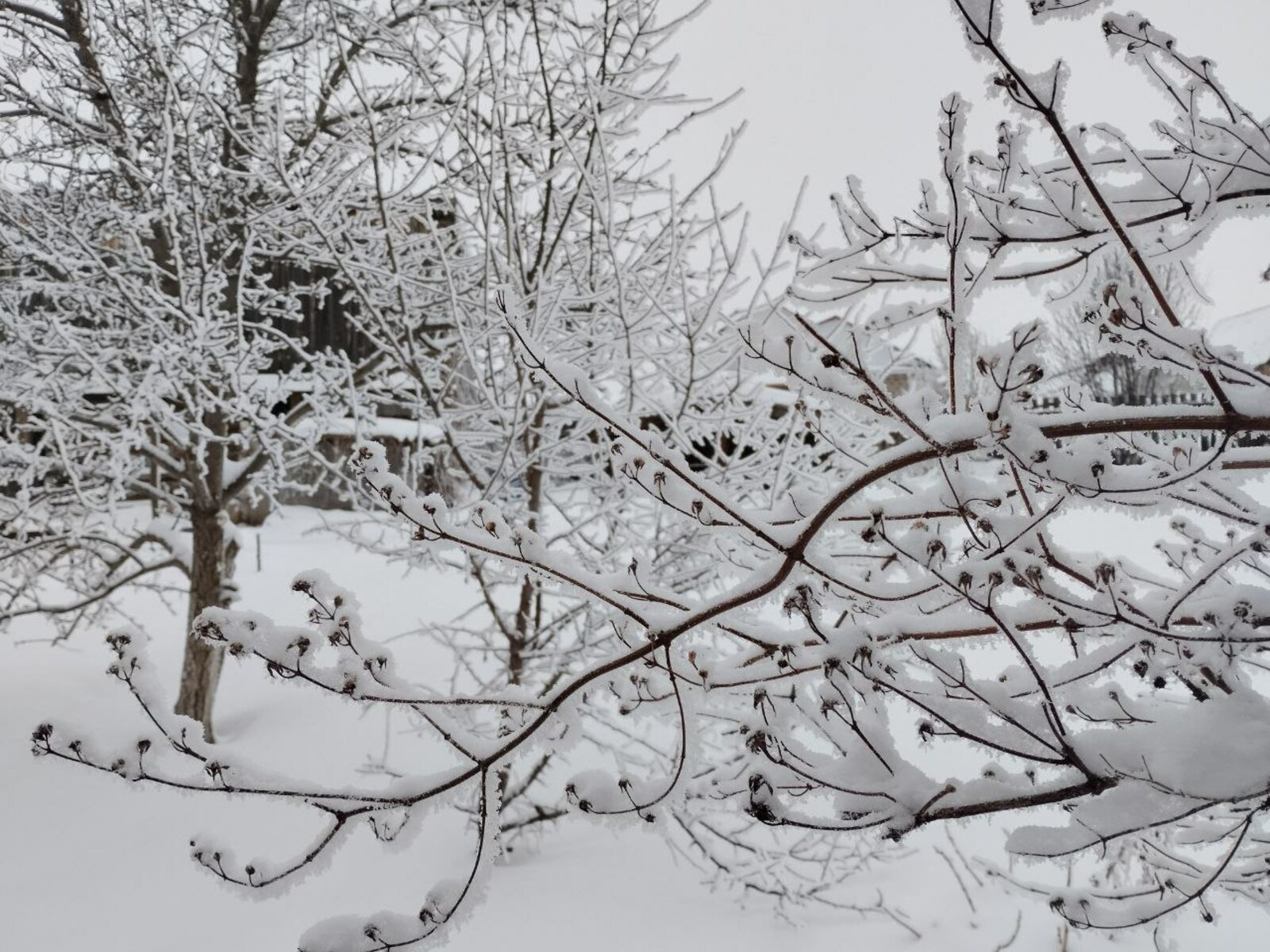 Синоптики дали прогноз погоды в республике на февраль