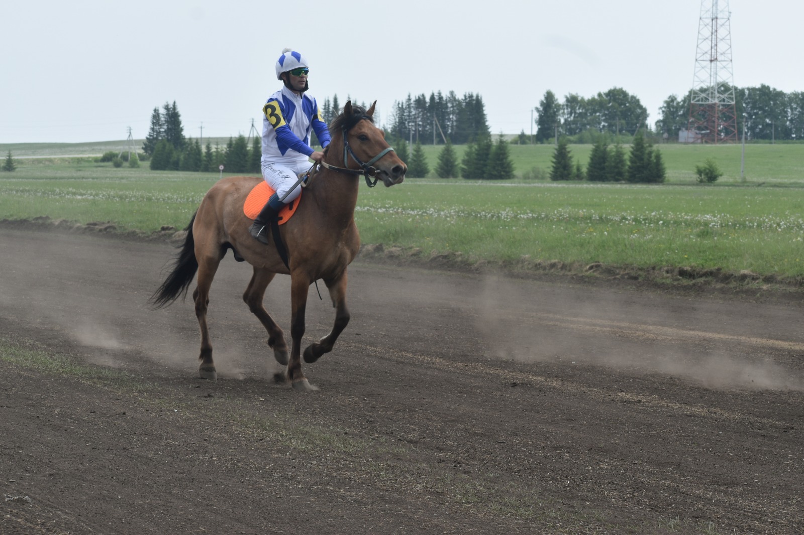 Один из лучших представителей конного спорта республики - в Дуванском районе