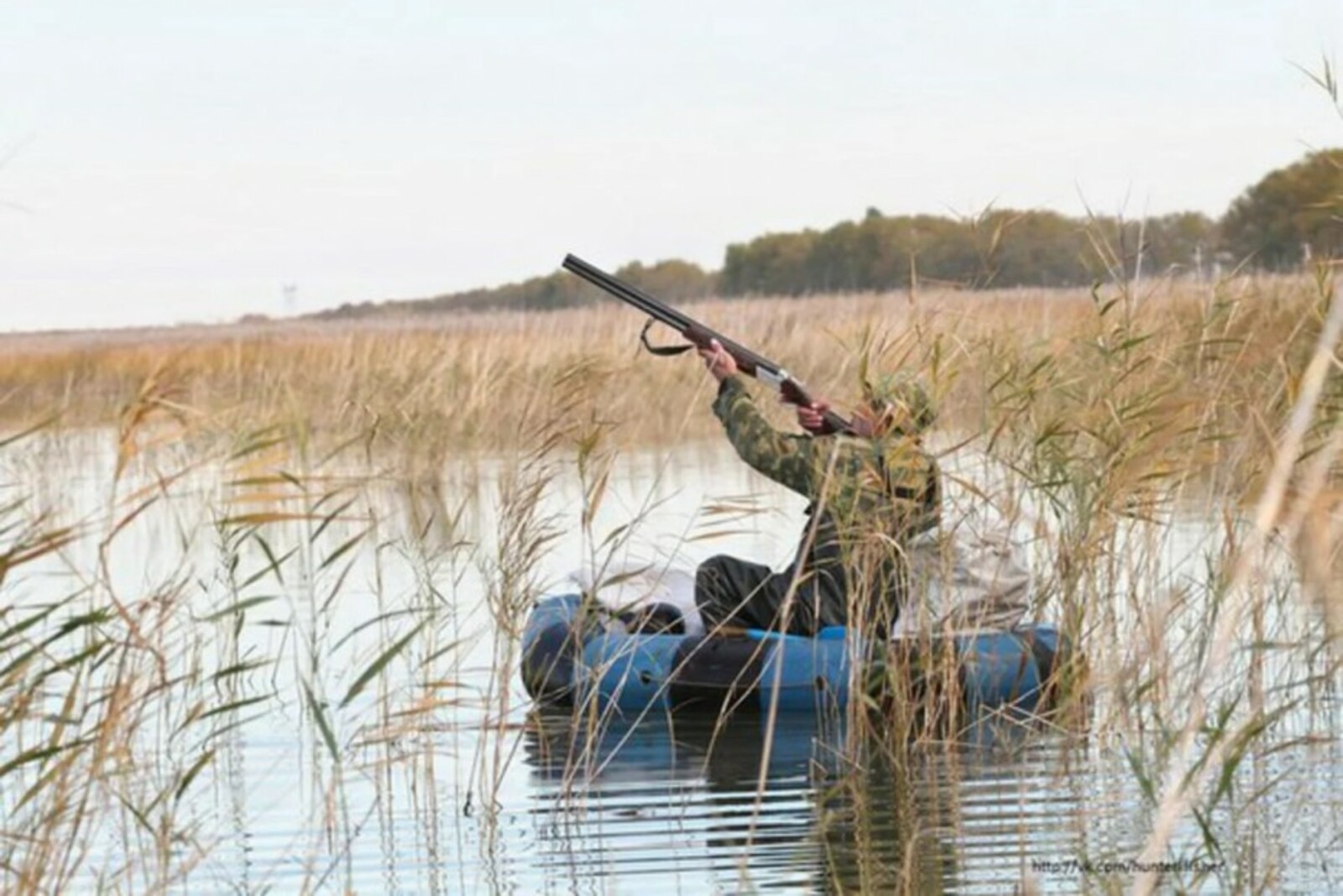 Открытие охоты в оренбургской области 2024. Охота на водоплавающую дичь 2022. Охота на пернатую дичь 2020 в Астрахани. Охота на водоплавающую дичь осень 2020.