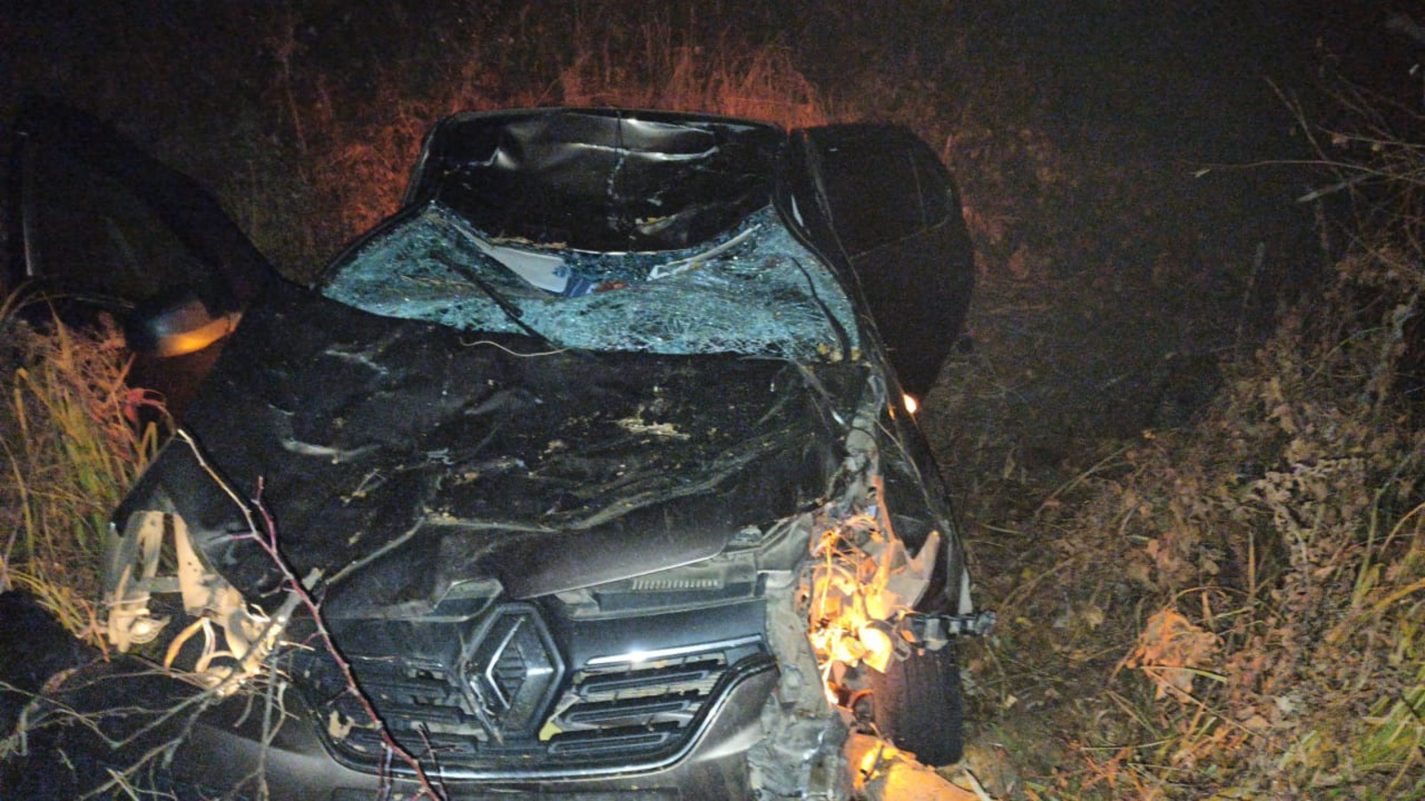 В Башкирии водитель и пассажир иномарки погибли при столкновении с лосем
