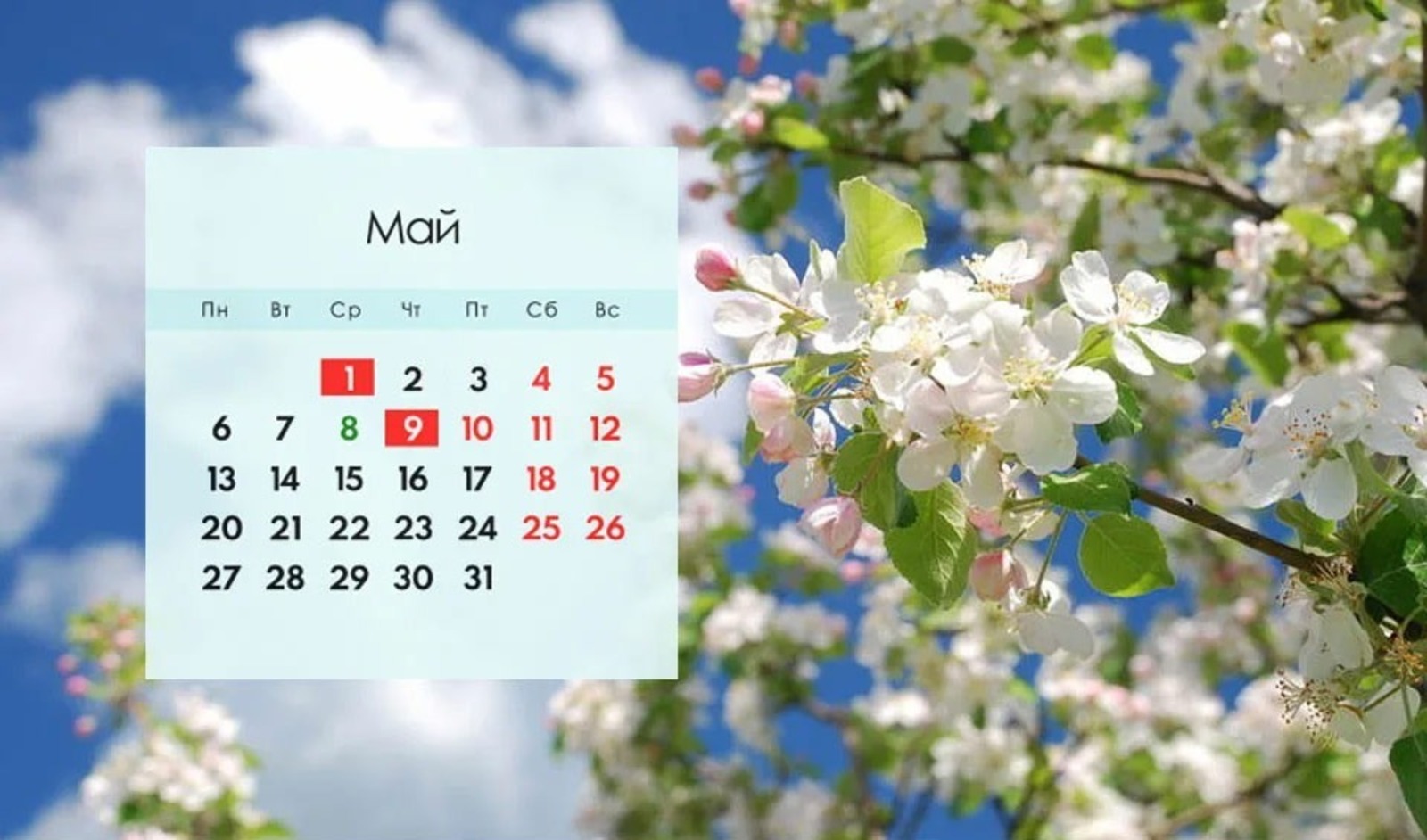 В Башкирии сообщили, как школьники будут отдыхать и учиться в майские праздники