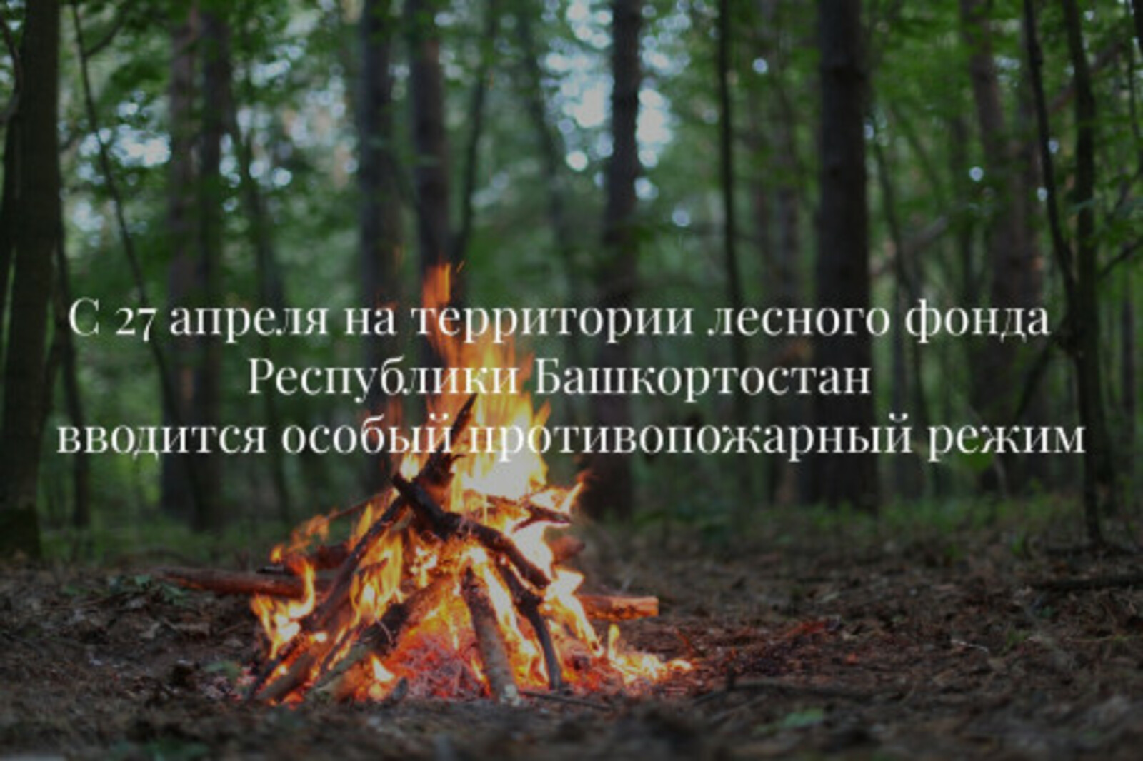 В лесах Башкортостана с 27 апреля вводится особый противопожарный режим