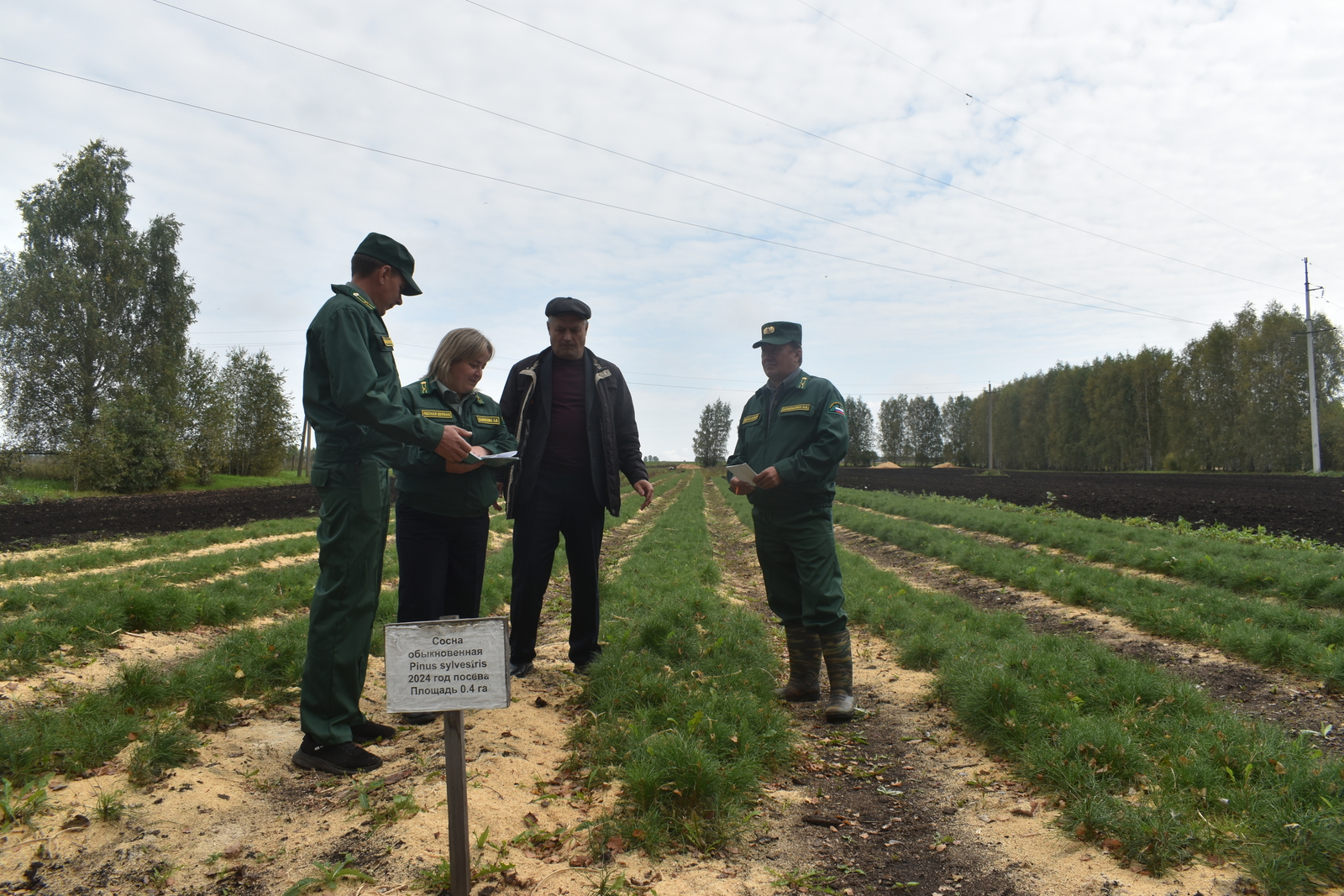 В Дуванском районе на лесовосстановлении задействованы три питомника