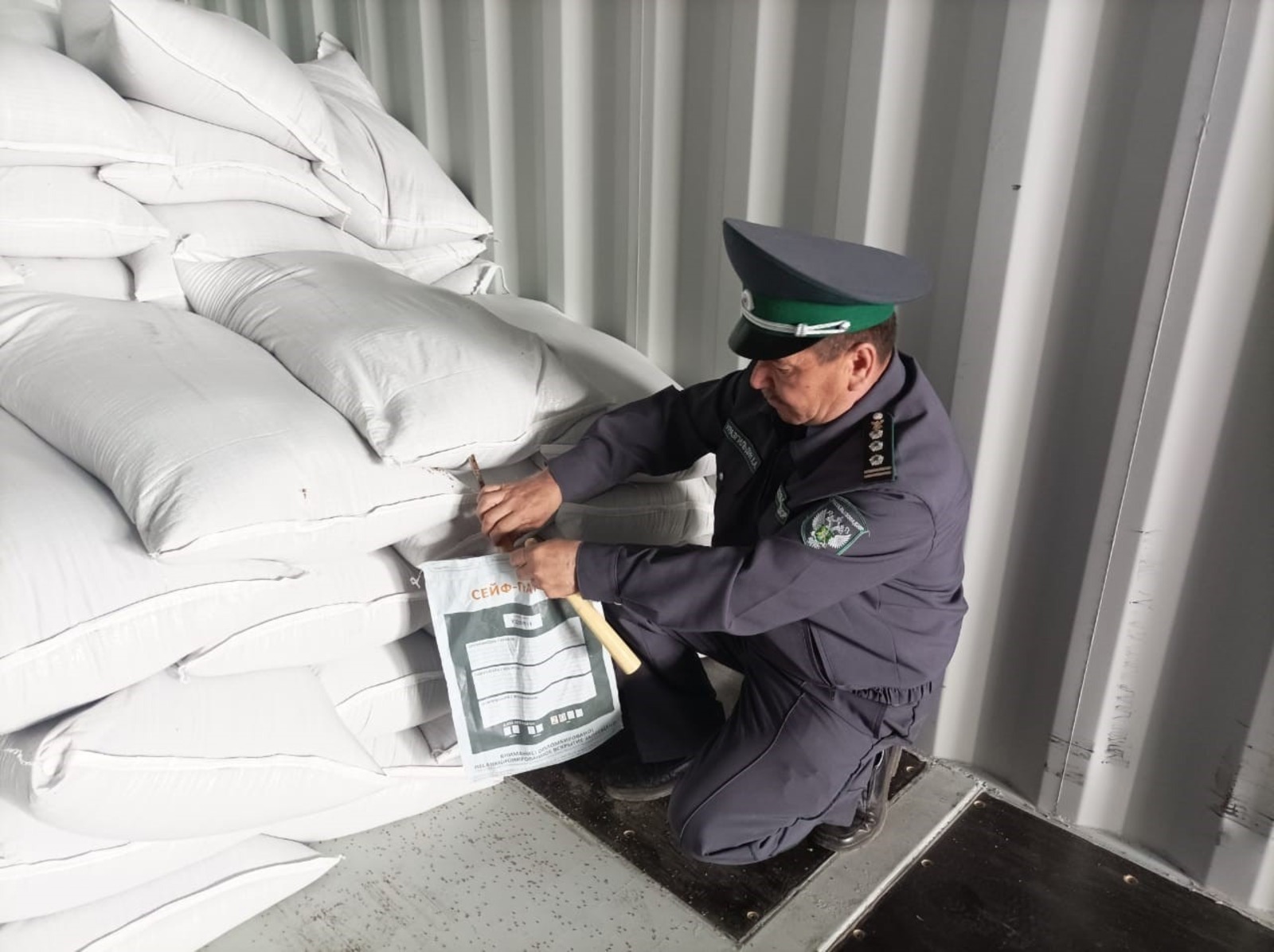 Башкирия накормит горохом Китай