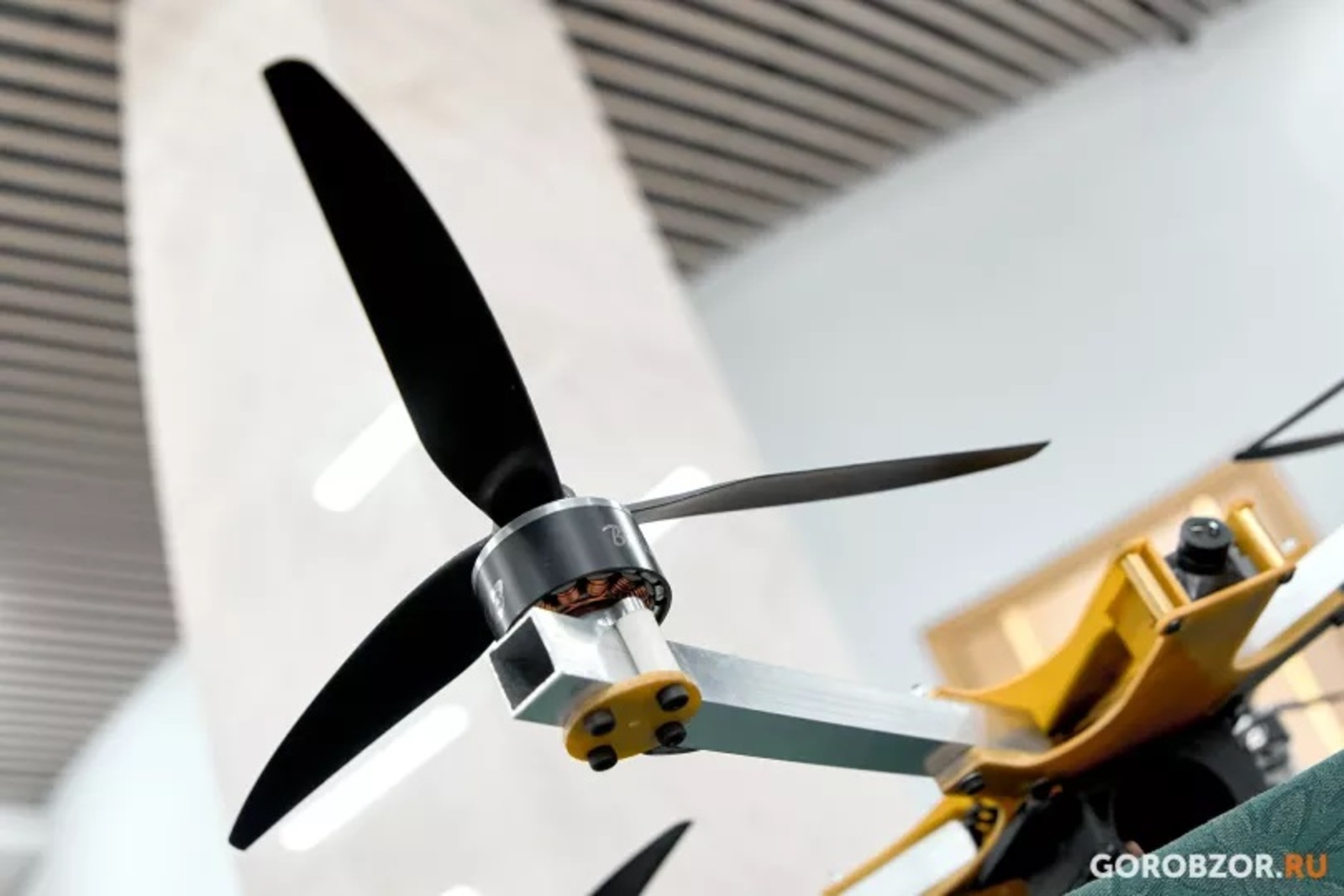 Эксперт Родинко рассказал о льготах бойцам войск БПЛА из Башкирии