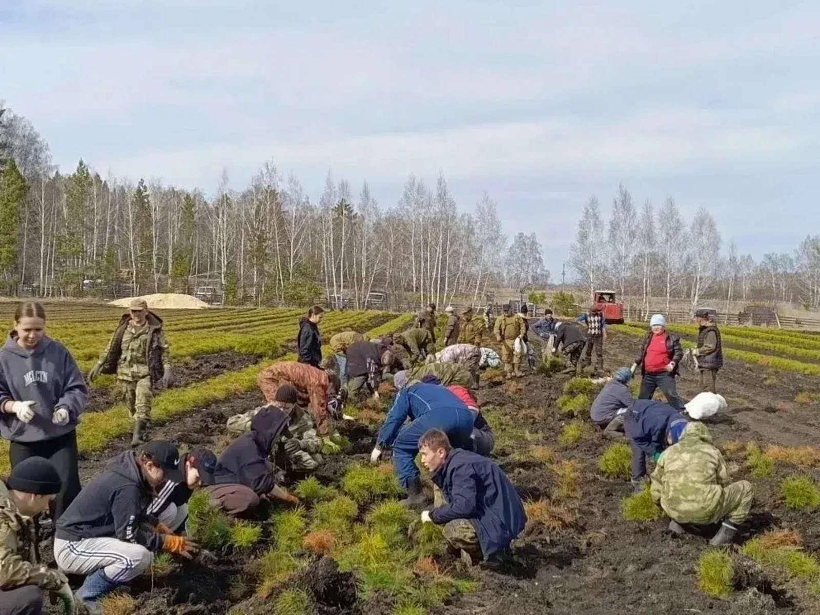 Радий Хабиров рассказал о том, как лесоводы готовятся к сезону